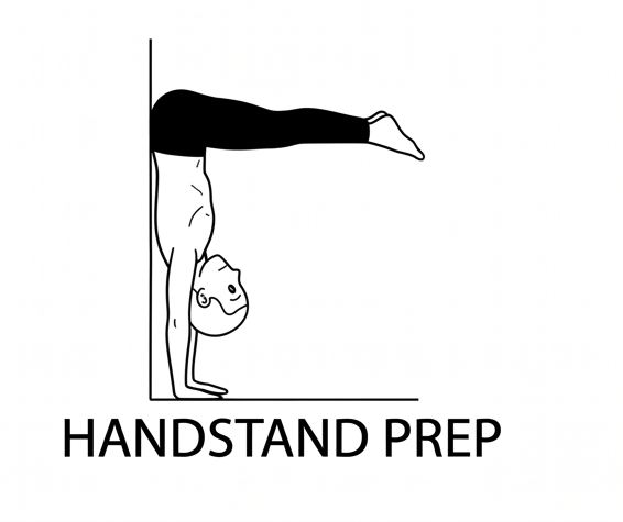 Visual sketch of Handstand Prep (Adho Mukha Vrksasana Prep)